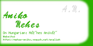 aniko mehes business card